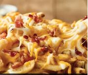 Outback Steakhouse Aussie Cheese Fries